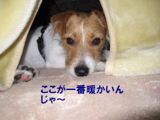 c0185516_12243079.jpg