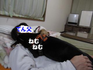 c0185516_12245526.jpg