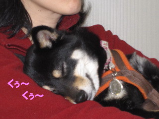 c0185516_1224890.jpg