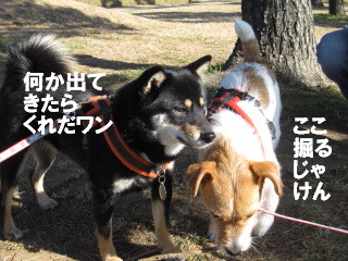 c0185516_12351021.jpg