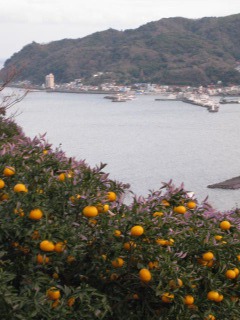c0149717_1902469.jpg