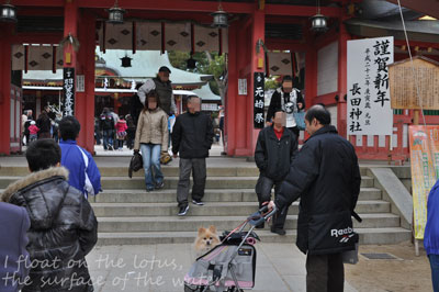 b0075318_20434745.jpg