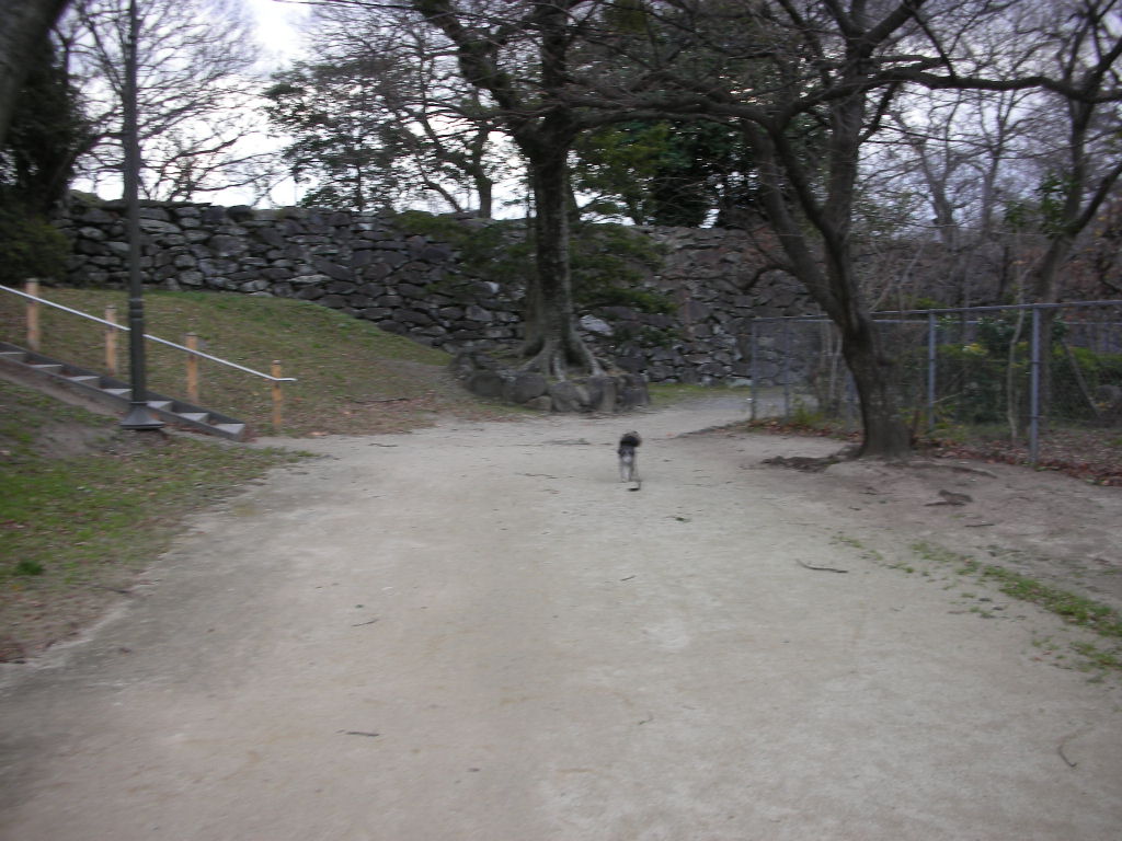 d0149722_9394927.jpg