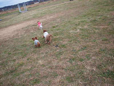 f0182239_5524291.jpg