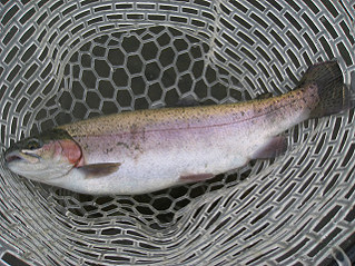 f0065341_21311655.jpg