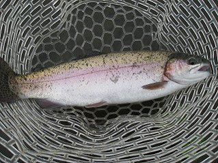 f0065341_21314694.jpg