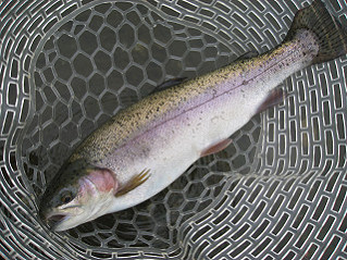 f0065341_2132125.jpg