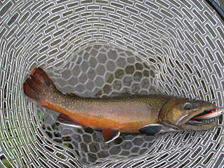 f0065341_2132318.jpg