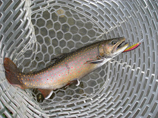 f0065341_21331376.jpg