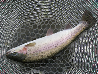 f0065341_21332964.jpg