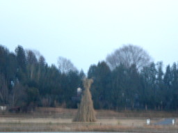 c0047449_18265223.jpg