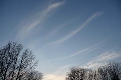 e0002850_22331987.jpg