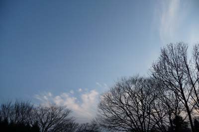 e0002850_22333610.jpg
