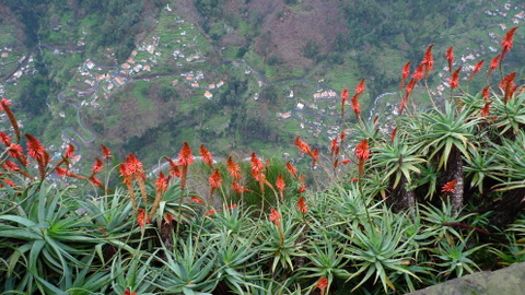 a0113956_2495477.jpg