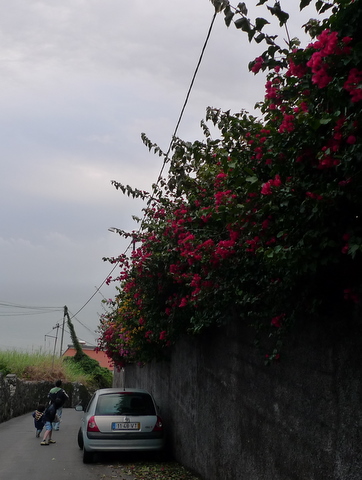 a0113956_2573216.jpg