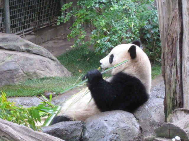 d0117456_15451252.jpg