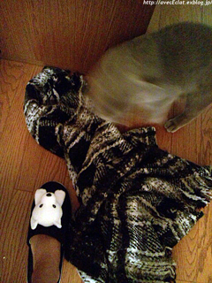 c0200365_191290.jpg