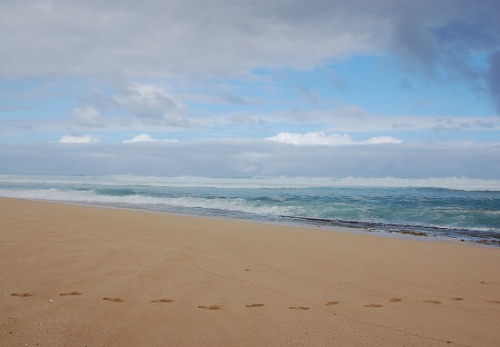 e0128367_931282.jpg