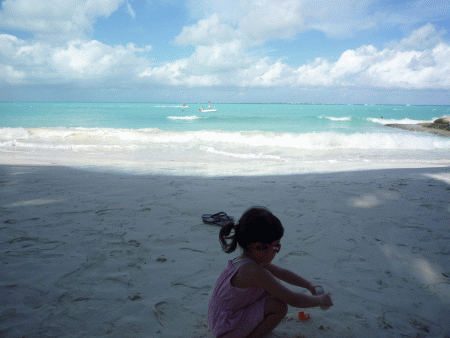 f0186671_13411440.gif
