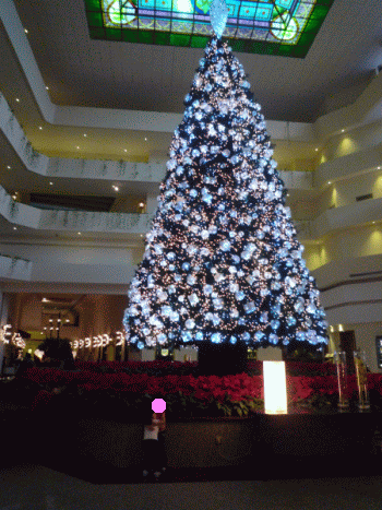 f0186671_13545829.gif