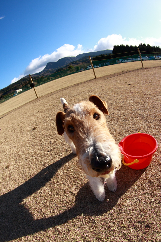 c0229377_013839.jpg