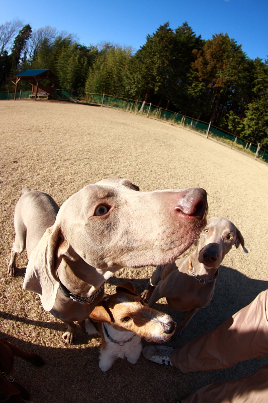 c0229377_091450.jpg
