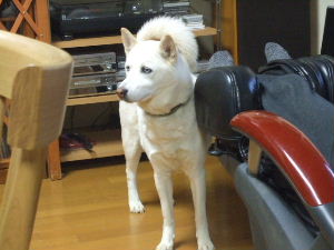 f0005081_185575.jpg