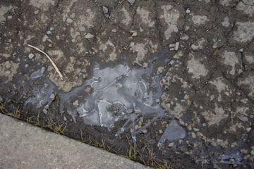 d0137083_23222670.jpg