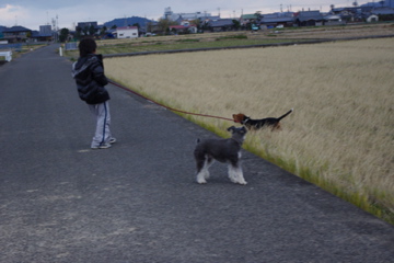 d0137083_23235161.jpg