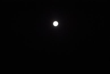 c0162984_2258358.jpg