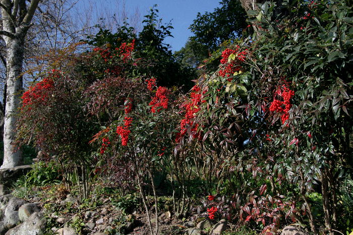 b0171185_235121.jpg
