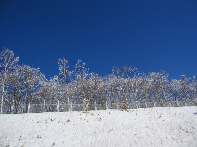 e0185485_20262076.jpg