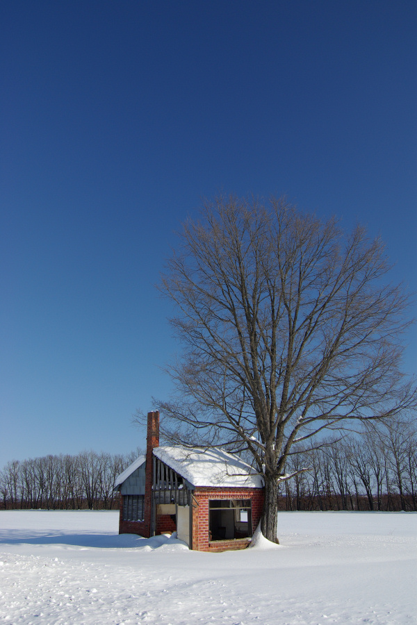 e0051186_20153069.jpg