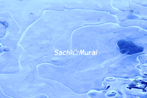 c0073387_4164623.jpg