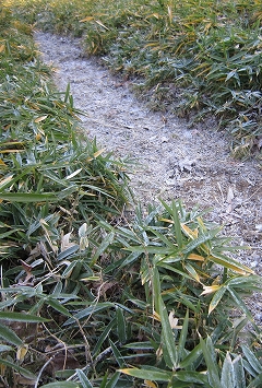 c0160488_1957169.jpg