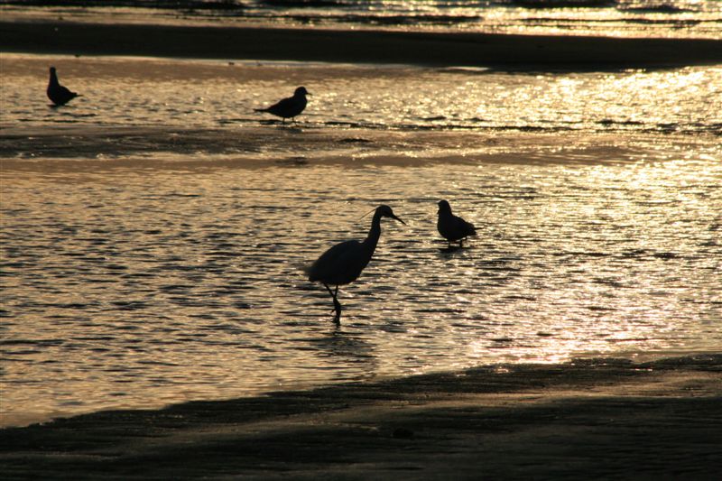 c0208389_11241375.jpg