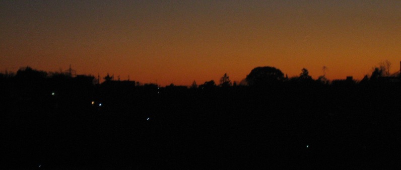 b0054391_583128.jpg