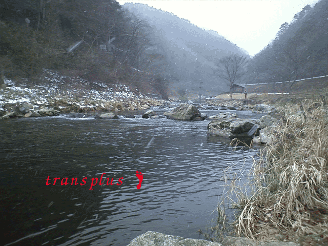 b0031493_13233174.gif
