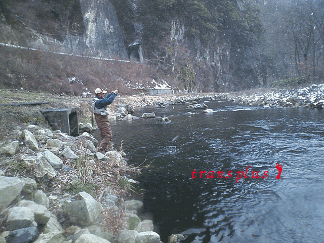 b0031493_13323590.gif