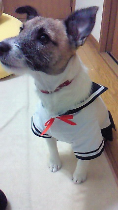 c0191597_21413251.jpg