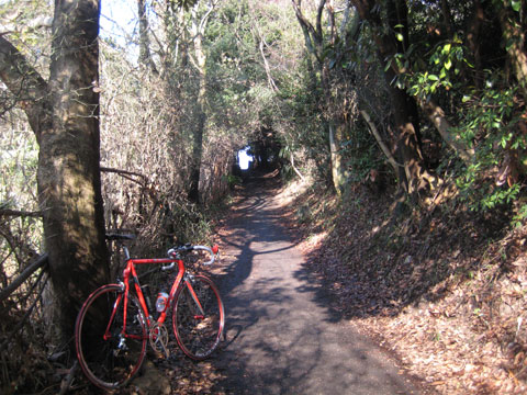 b0097200_23183848.jpg