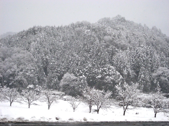 c0123400_1813417.jpg