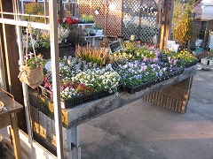 c0196701_023595.jpg