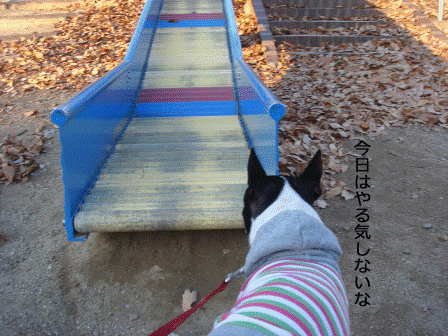 a0147507_1965988.gif
