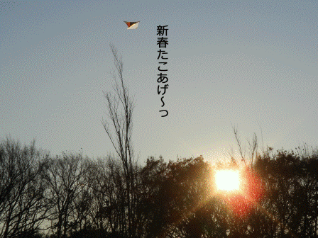 a0147507_19664.gif
