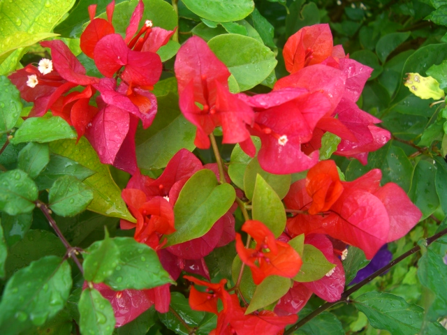 b0143709_22482415.jpg