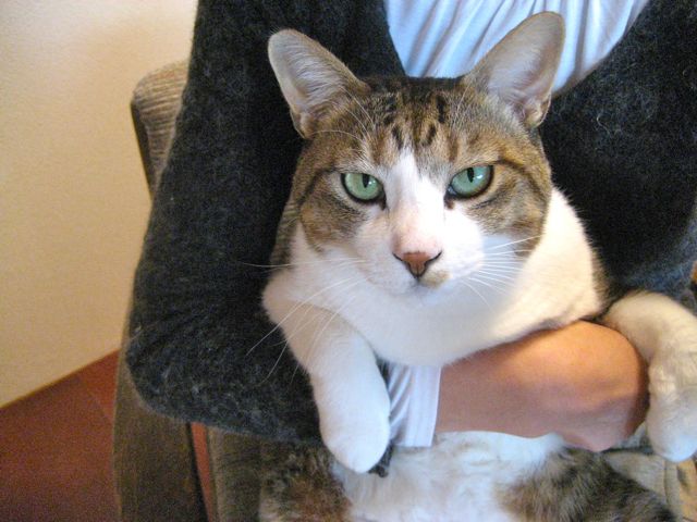 c0114110_17331888.jpg