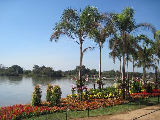 e0187112_1331537.jpg