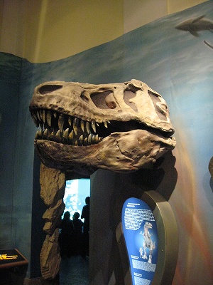 c0167813_413429.jpg