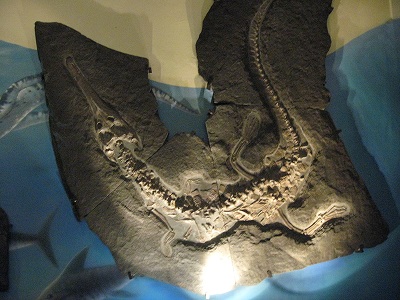 c0167813_7313990.jpg